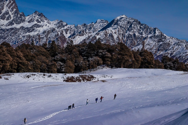 skiing a winter sport playedin auli